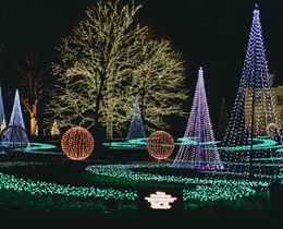 Christmas lights (2).jpg